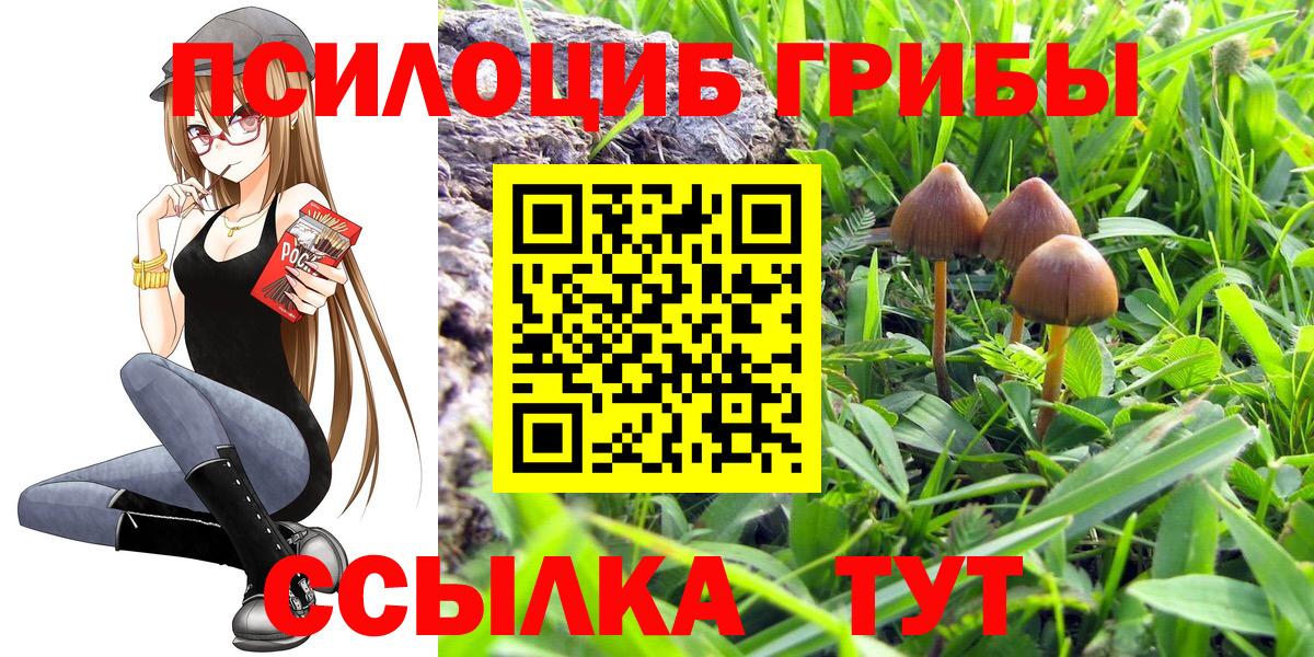 Чебаркуль  Псилоцибиновые грибы мухоморы  Вход с VPN 